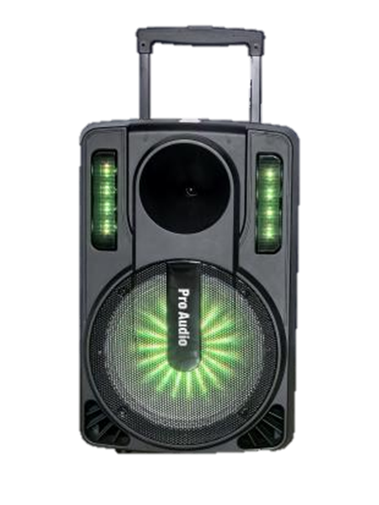 VC-12MC Portable Bluetooth Speaker